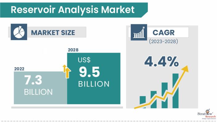 Reservoir-Analysis-Market-Insights